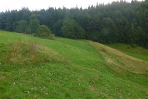 celkový pohĺad, nevykosené časti